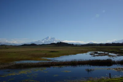 DSC_1047 (Large).JPG